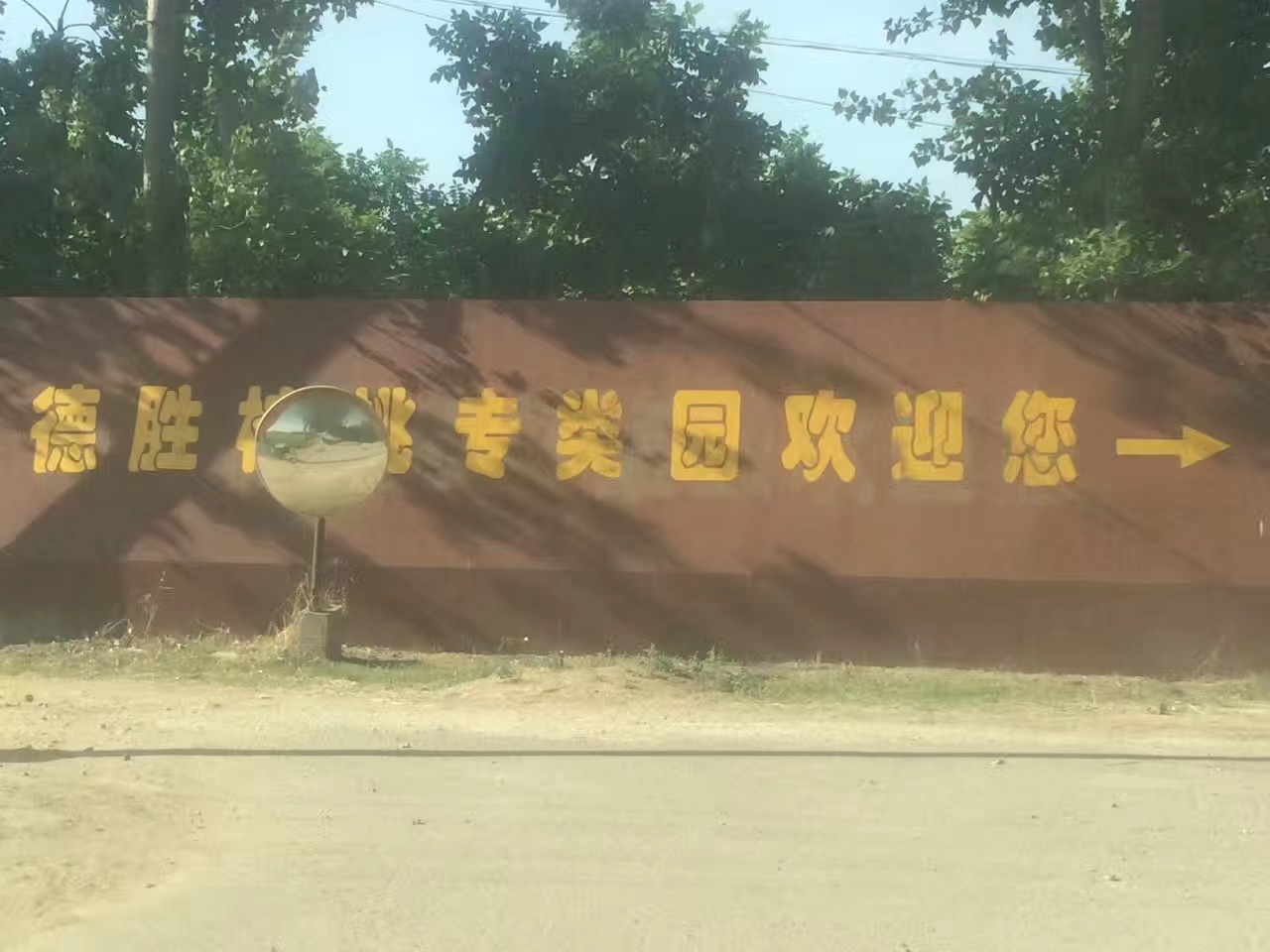 德胜核桃专类园项目