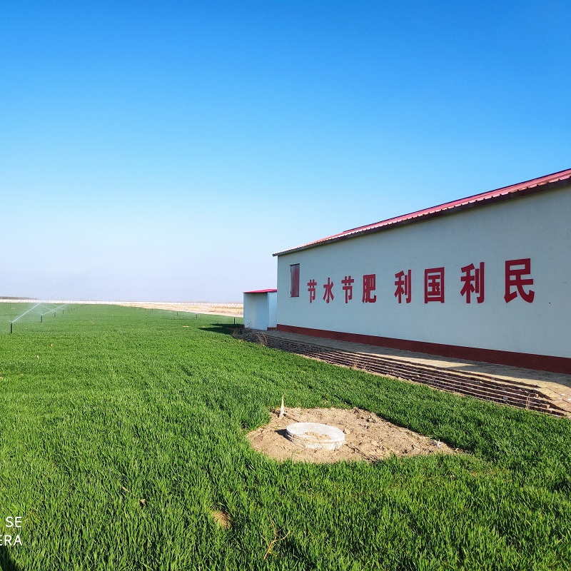 南皮模式小麦水肥一体化5.5.jpg