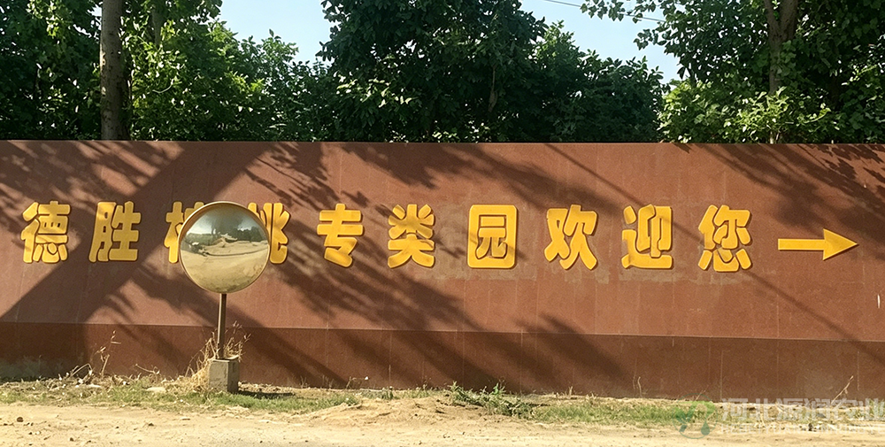 核桃园.png